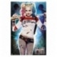 Poster Harley Quinn Escuadron Suicida DC Comics