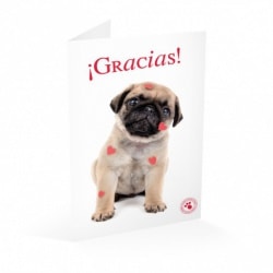 Tarjeta Felicitacion Studio Pets Gracias