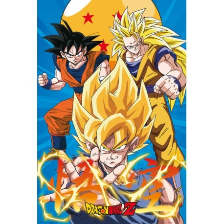 Poster Dragon Ball Z Goku Evolucion