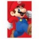 Poster Super Mario (Run)
