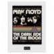 Art Print 30X40 Pink Floyd An Evening With