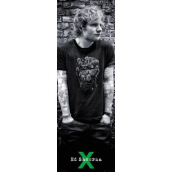 Poster Puerta Ed Sheeran Skull