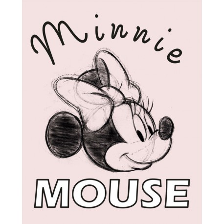 Canvas 20X25 Cm Disney Minnie Mouse