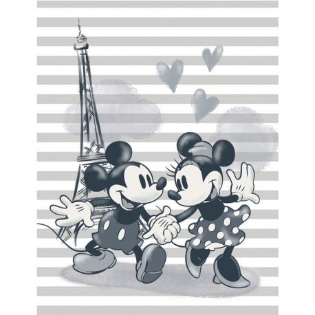 Canvas 30X40 Cm Disney Mickey & Minnie Paris