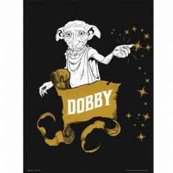 Lámina 30X40 Cm Harry Potter Dobby