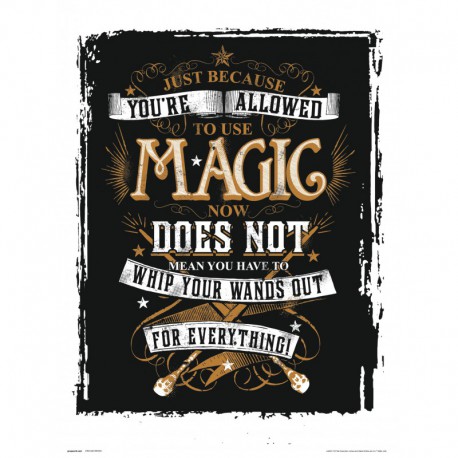Print Harry Potter Magia 30X40 Cm