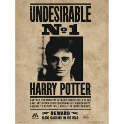 Lámina 30X40 Cm Harry Potter Undesirable Nº1