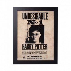 Lámina Enmarcada 30X40 Cm Harry Potter Undesirable Nº1