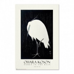 Poster Egret In The Rain