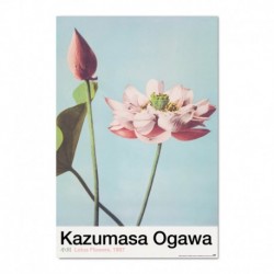 Poster Flores De Loto Kazumasa Ogawa