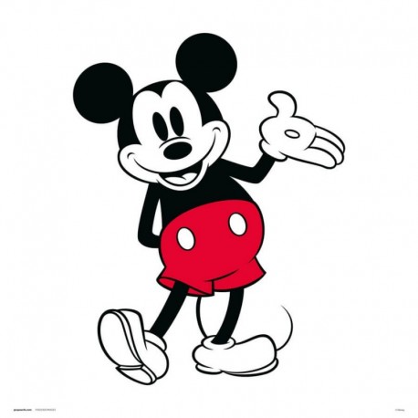 Print Mickey Mouse Disney 30X30 Cm