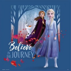 Print Frozen Believe In The Journey Disney 30X30 Cm