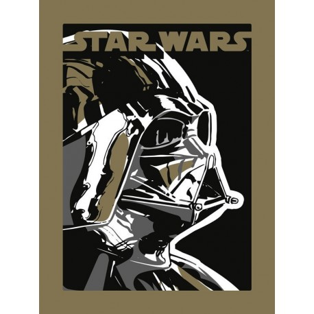 Print Star Wars Darth Vader 30X40 Cm