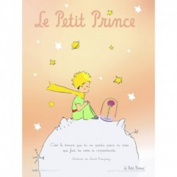 Print Le Petit Prince Le Temps Frances 30X40 Cm