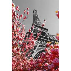 Poster Torre Eiffel Paris