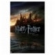 Poster Harry Potter Y Las Reliquias De La Muerte